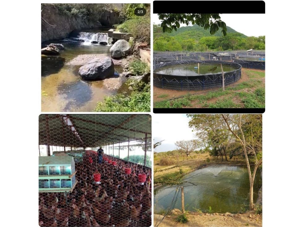 Finca en venta Cesar Pueblo Bello Pueblo Bello 70 m2 Habitaciones 3 Baños 2 Garajes 1 Precio $3500000000