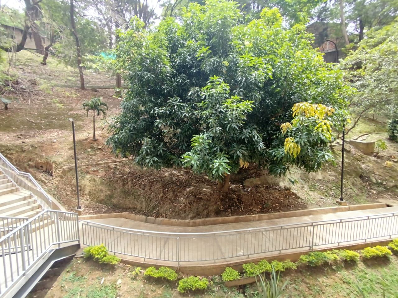 Apartamento en arriendo Antioquia Itagüí Fátima 65 m2 Habitaciones 2 Baños 2 Garajes 0 Precio $2350000