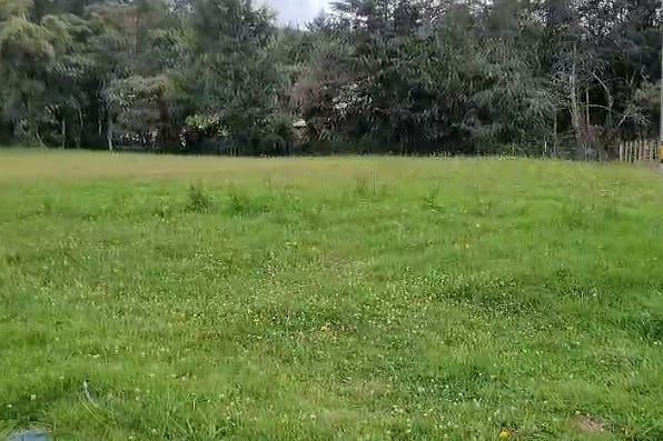 Lote en venta Antioquia Envigado Vereda El Peñasco 2729 m2 Habitaciones 0 Baños 0 Garajes 0 Precio $1364500000