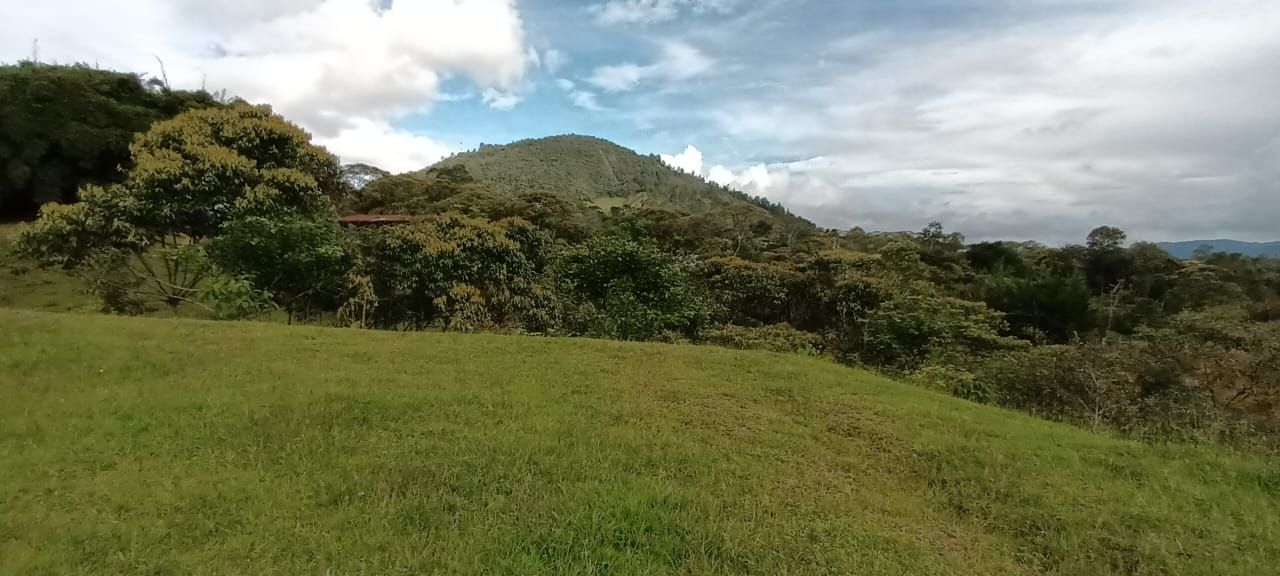Lote en venta Antioquia Rionegro El Porvenir 5000 m2 Habitaciones 0 Baños 0 Garajes 0 Precio $850000000