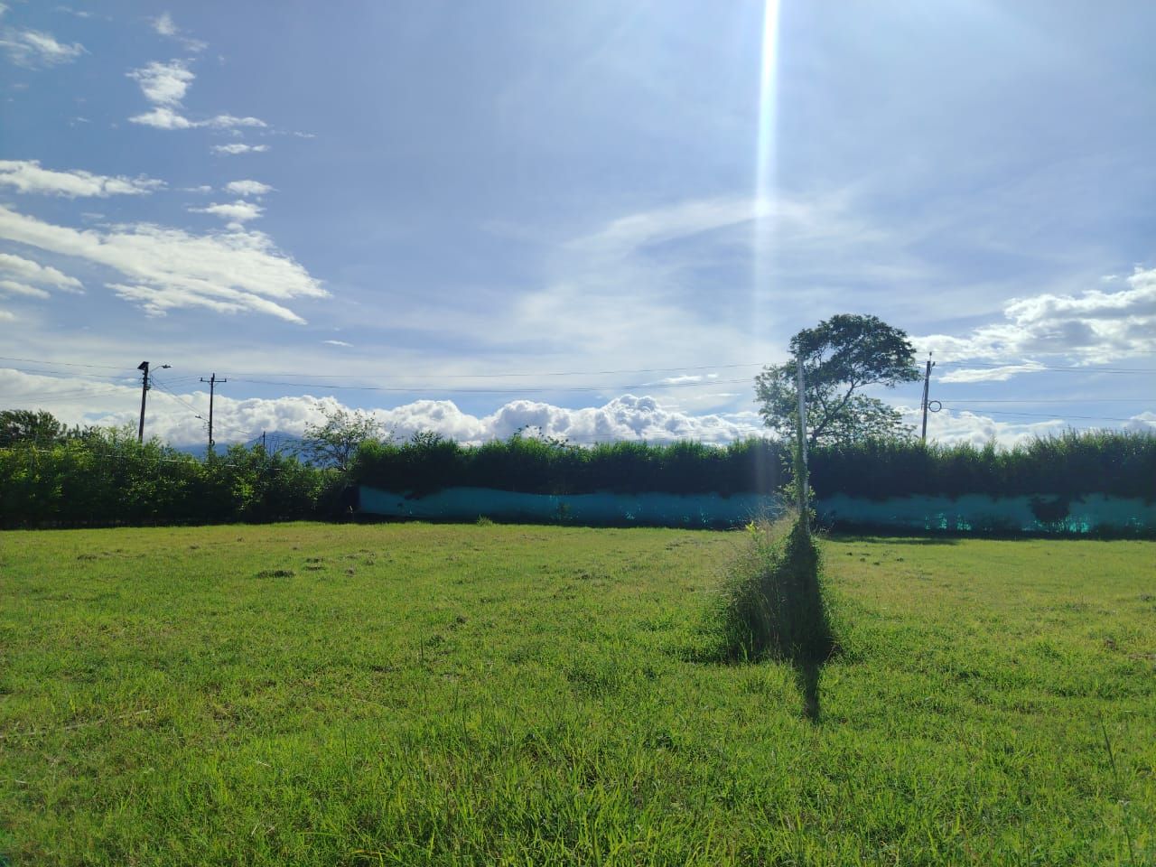 Lote en venta Valle Del Cauca Palmira Ub Casas Del Saman Et Ii 1086 m2 Habitaciones 0 Baños 0 Garajes 0 Precio $275000000