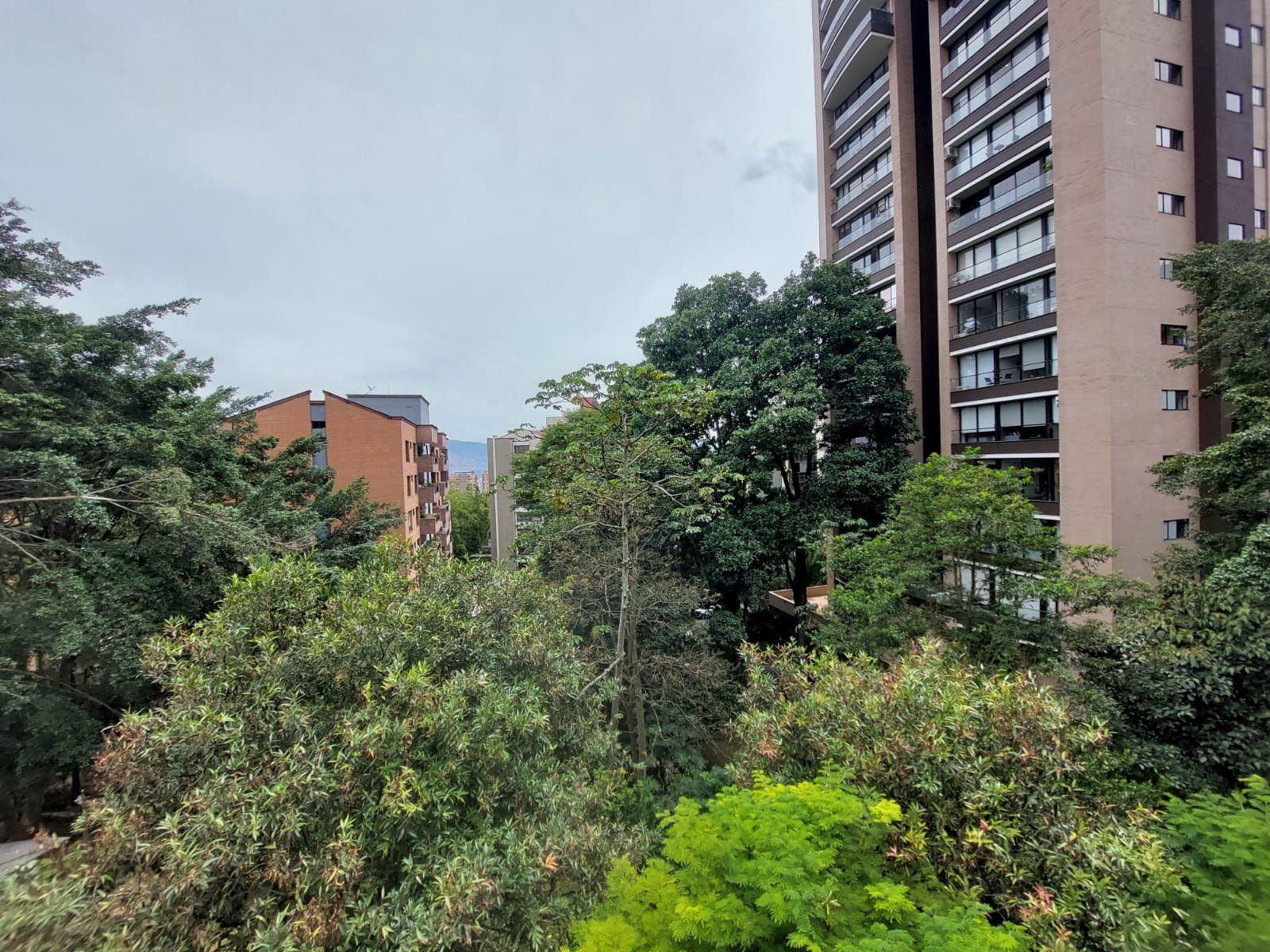 Apartamento en arriendo Antioquia Medellín Los Balsos No1 283 m2 Habitaciones 3 Baños 4 Garajes 2 Precio $10500000