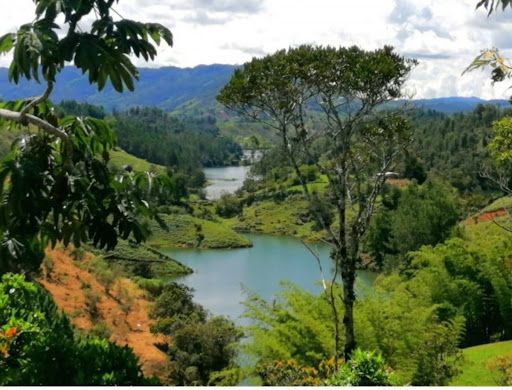 Lote en venta Antioquia Medellín Medellín 6261 m2 Habitaciones 0 Baños 0 Garajes 0 Precio $395000000