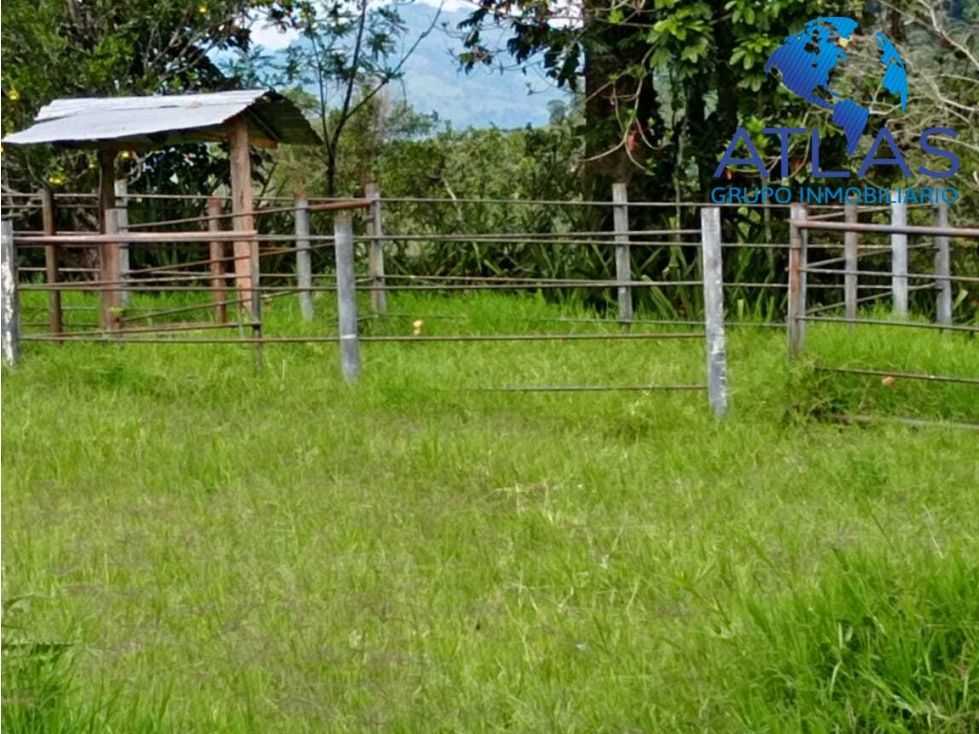 Finca en venta Santander Guadalupe Guadalupe 280 m2 Habitaciones 1 Baños 1 Garajes 1 Precio $570000000