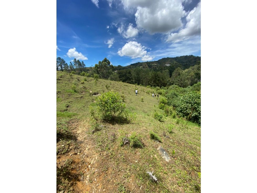 Lote en venta Antioquia Guarne Guarne 7485 m2 Habitaciones 0 Baños 0 Garajes 1 Precio $550000000