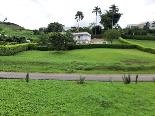 Lote en venta Caldas Manizales Manizales 1554 m2 Habitaciones 0 Baños 0 Garajes 0 Precio $400000000