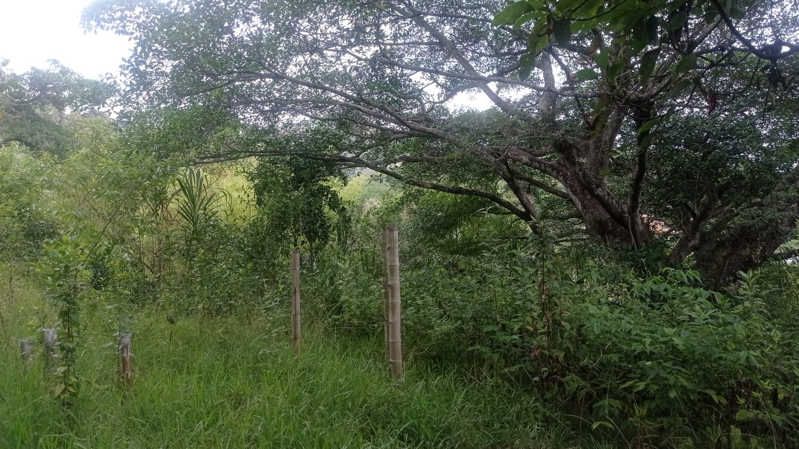 Lote en venta Valle Del Cauca Cali Cali 200 m2 Habitaciones 0 Baños 2 Garajes 1 Precio $375000000