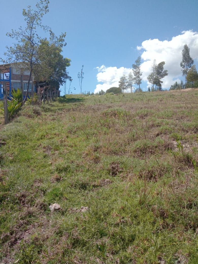 Lote en venta Boyacá Paipa Paipa 2500 m2 Habitaciones 0 Baños 0 Garajes 0 Precio $150000000