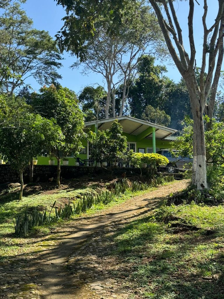 Finca en venta Tolima Mariquita Mariquita 0 m2 Habitaciones 4 Baños 2 Garajes 0 Precio $870000000