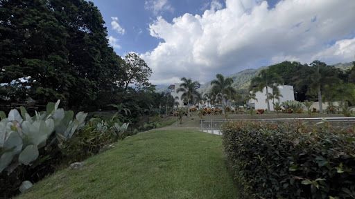 Casa en venta Tolima Ibagué Cr Cerro Azul Del Vergel 300 m2 Habitaciones 4 Baños 4 Garajes 2 Precio $920000000