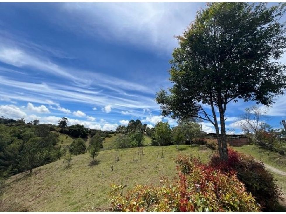 Lote en venta Antioquia Rionegro Rionegro 3500 m2 Habitaciones 0 Baños 0 Garajes 0 Precio $700000000