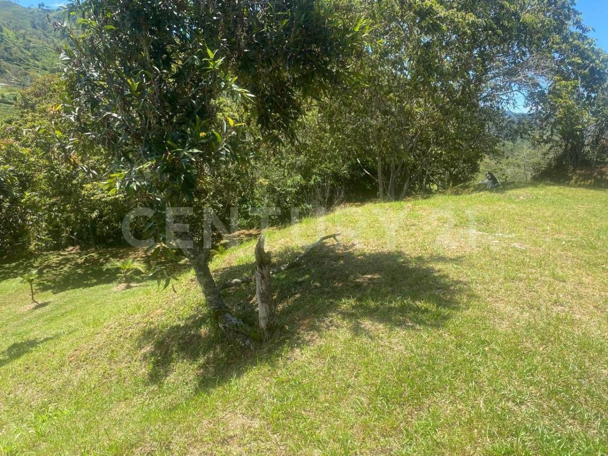 Lote en venta Antioquia Concepción Concepción 0 m2 Habitaciones 0 Baños 0 Garajes 0 Precio $250000000