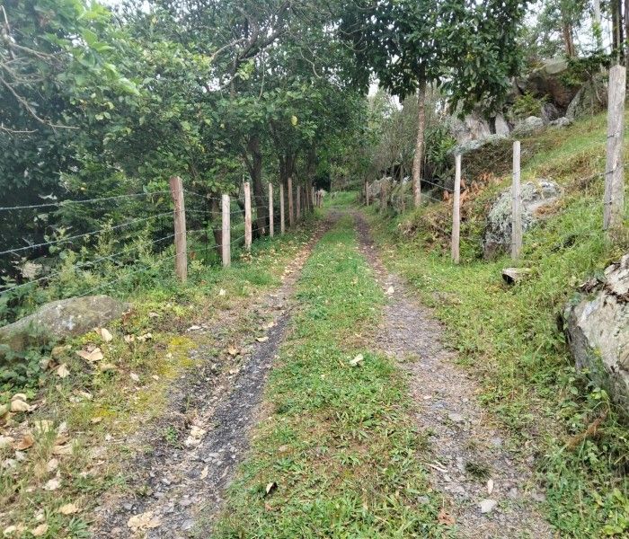 Lote en venta Cundinamarca San Antonio Del Tequendama San Antonio Del Tequendama 0 m2 Habitaciones 0 Baños 0 Garajes 0 Precio $650000000