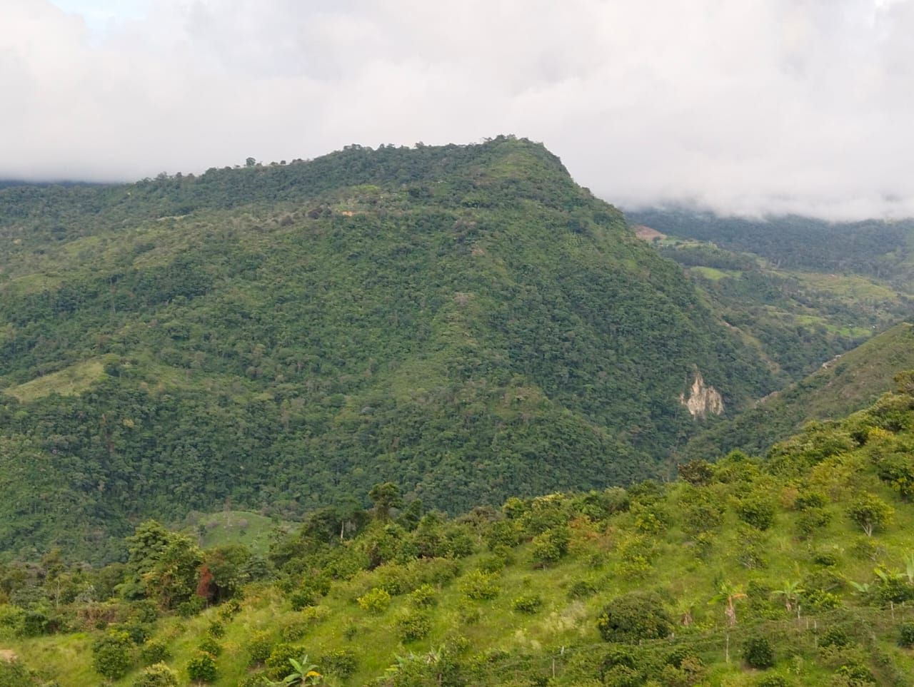 Lote en venta Cundinamarca Pandi Pandi 900 m2 Habitaciones 0 Baños 0 Garajes 0 Precio $73000000