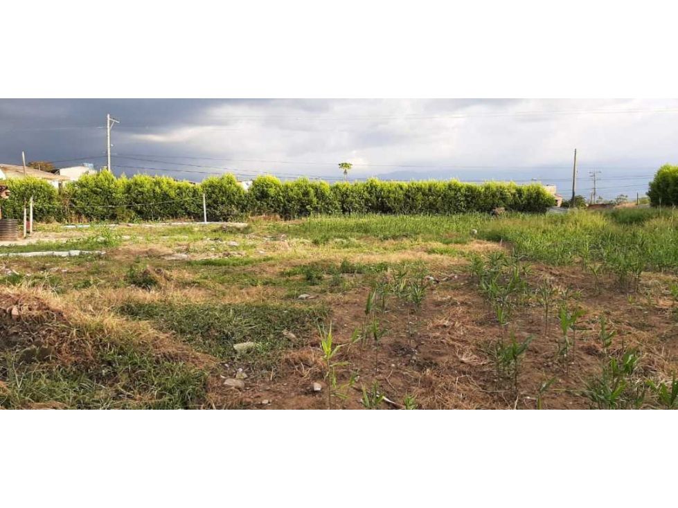 Lote en venta Quindío Montenegro Centro 500 m2 Habitaciones 0 Baños 0 Garajes 0 Precio $1300000000