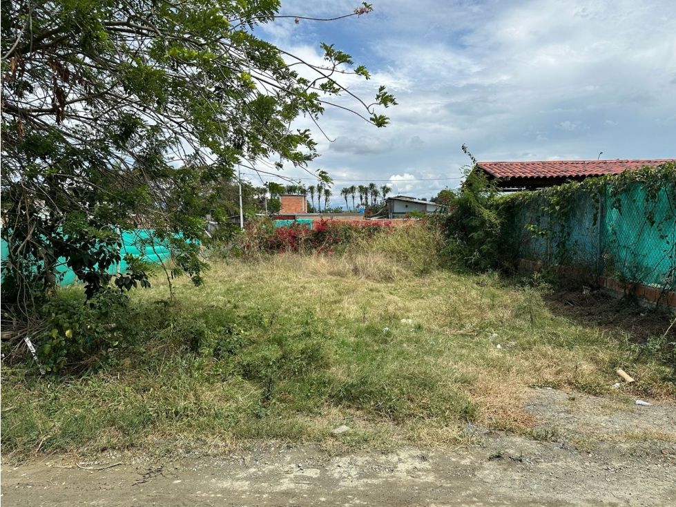 Lote en venta Valle Del Cauca Palmira Palmira 265 m2 Habitaciones 0 Baños 0 Garajes 0 Precio $125000000