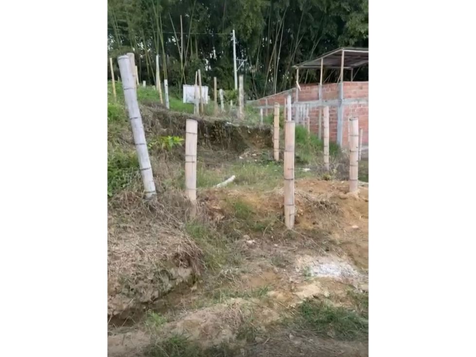 Lote en venta Quindío Quimbaya Quimbaya 50 m2 Habitaciones 0 Baños 0 Garajes 0 Precio $65000000