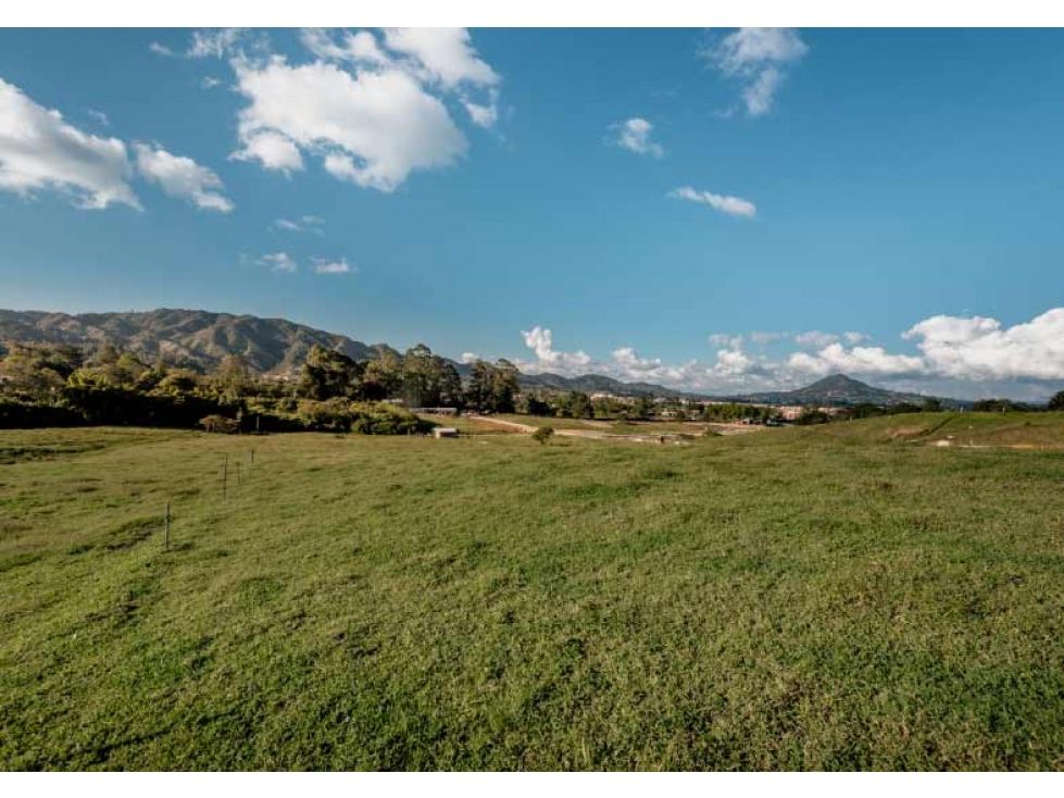 Lote en venta Antioquia La Ceja Centro 10320 m2 Habitaciones 0 Baños 0 Garajes 0 Precio $835839000