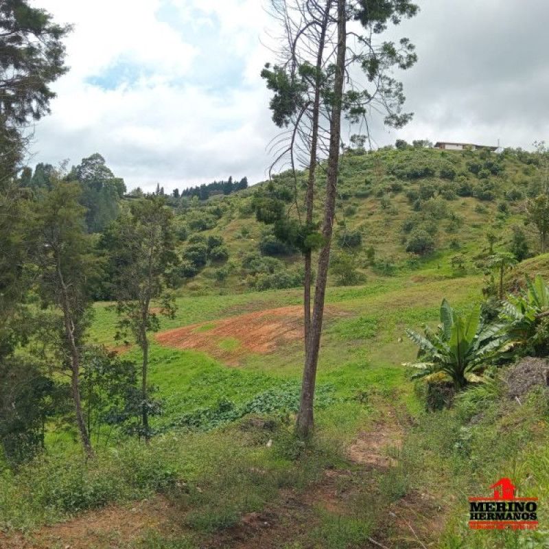 Casa en venta Antioquia Guarne Guarne 280 m2 Habitaciones 4 Baños 2 Garajes 0 Precio $2500000000