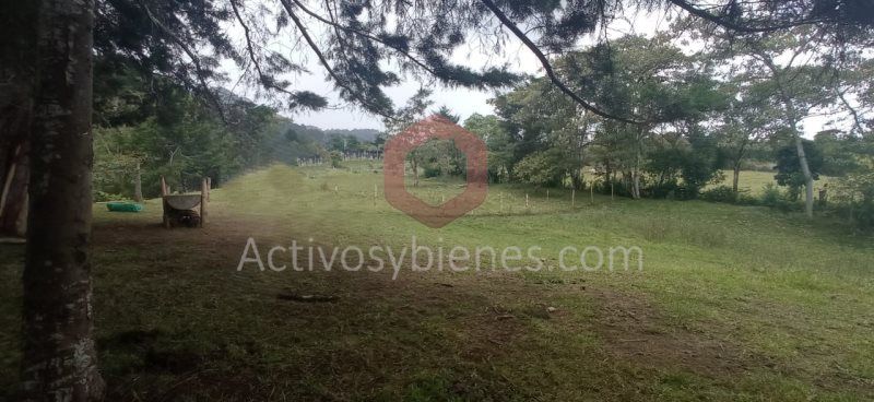 Lote en venta Antioquia La Ceja La Ceja 3700 m2 Habitaciones 0 Baños 0 Garajes 0 Precio $750000000