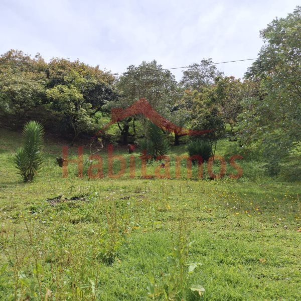 Lote en venta Antioquia Guarne Guarne 5000 m2 Habitaciones 0 Baños 0 Garajes 0 Precio $440000000