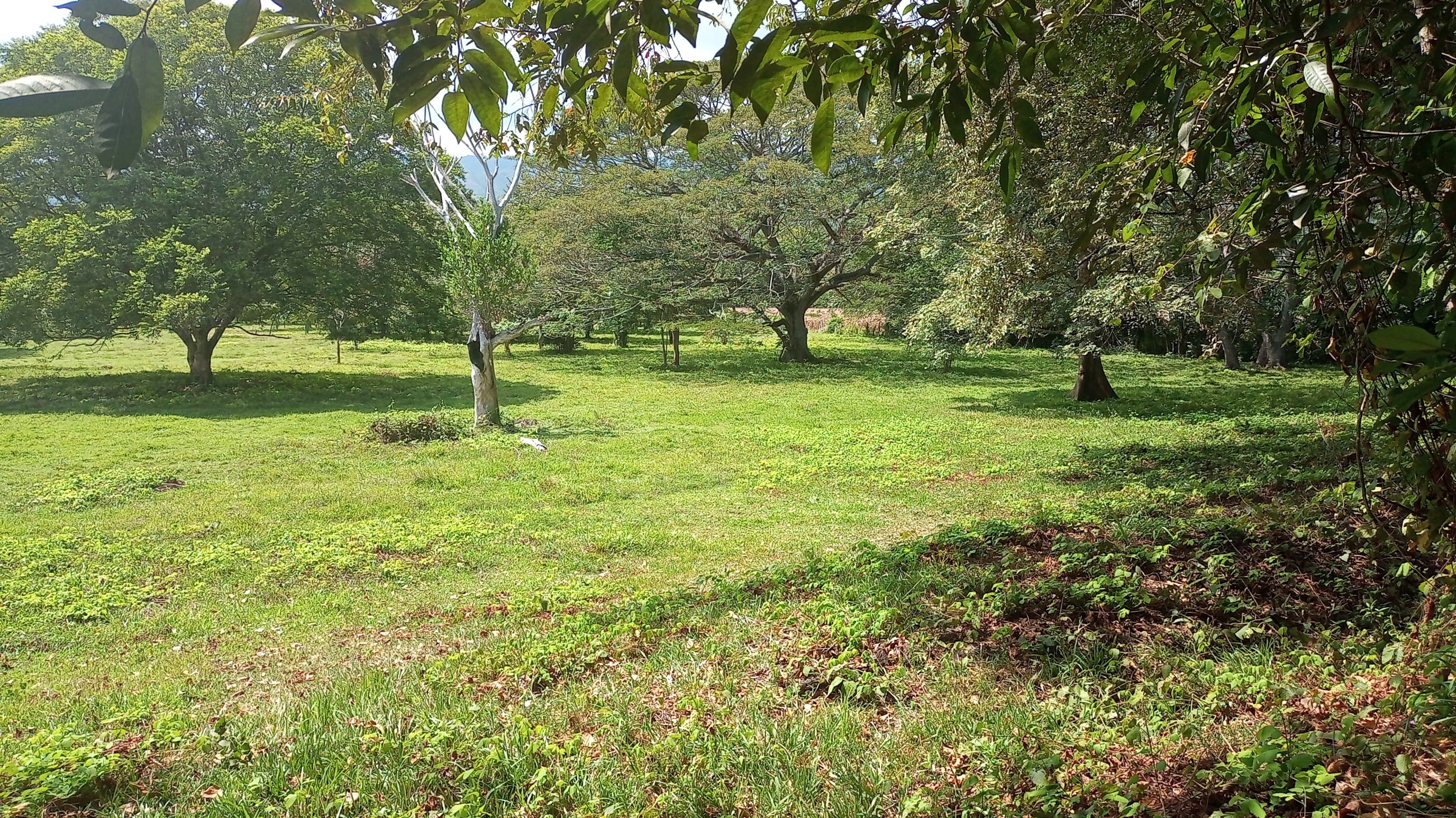 Finca en venta Tolima Lérida Resurgir 178 m2 Habitaciones 3 Baños 1 Garajes 1 Precio $2700000000