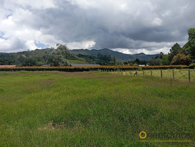 Lote en arriendo Antioquia Rionegro Rionegro 2500 m2 Habitaciones 0 Baños 0 Garajes 0 Precio $3000000