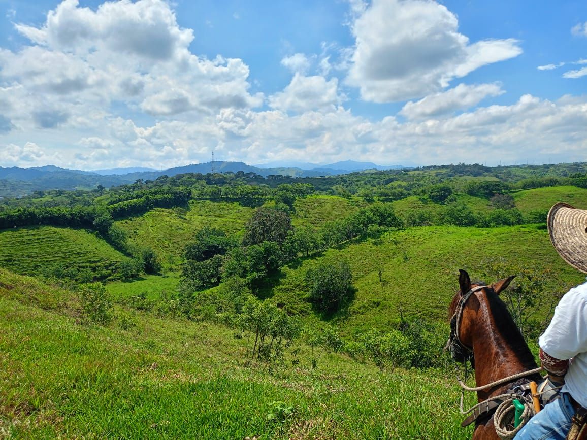 Finca en venta Risaralda Pereira Ur Jose Maria Cordoba 672 m2 Habitaciones 3 Baños 2 Garajes 6 Precio $5000000000000