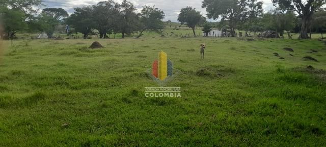 Lote en venta Tolima Ibagué Ub Jardin Porvenir 900 m2 Habitaciones 0 Baños 0 Garajes 0 Precio $160000000