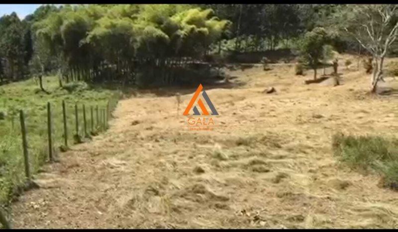 Lote en venta Antioquia Angelópolis Angelopolis 5127 m2 Habitaciones 0 Baños 0 Garajes 0 Precio $270000000