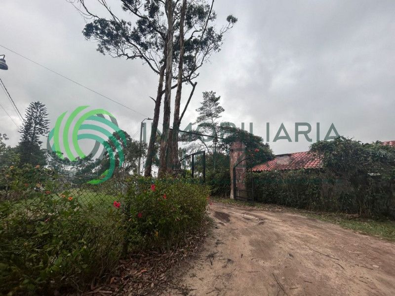 Lote en venta Santander Piedecuesta Piedecuesta 60 m2 Habitaciones 0 Baños 1 Garajes 0 Precio $290000000