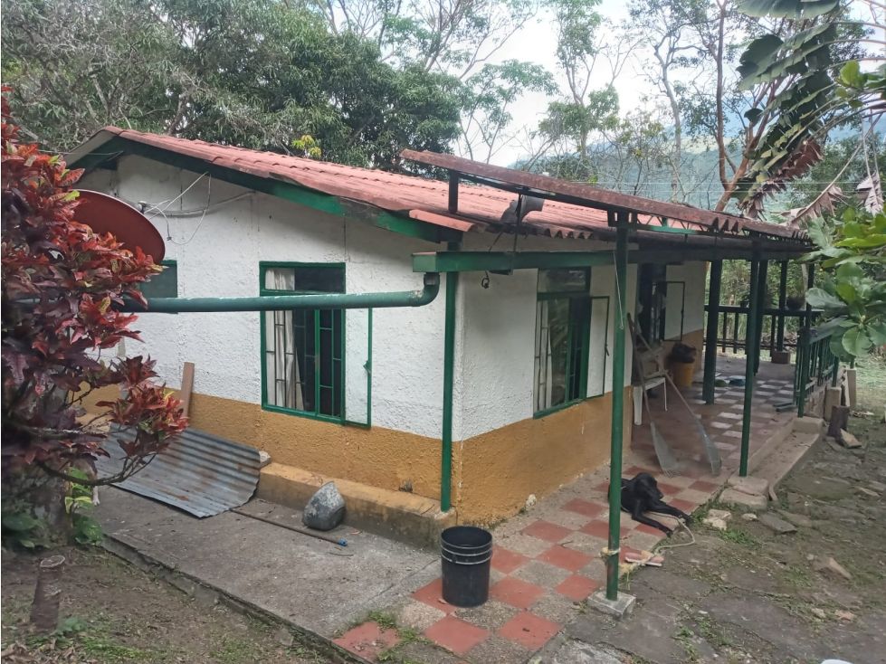 Casa Campestre en venta Cundinamarca La Mesa La Mesa 2050 m2 Habitaciones 3 Baños 2 Garajes 5 Precio $280000000