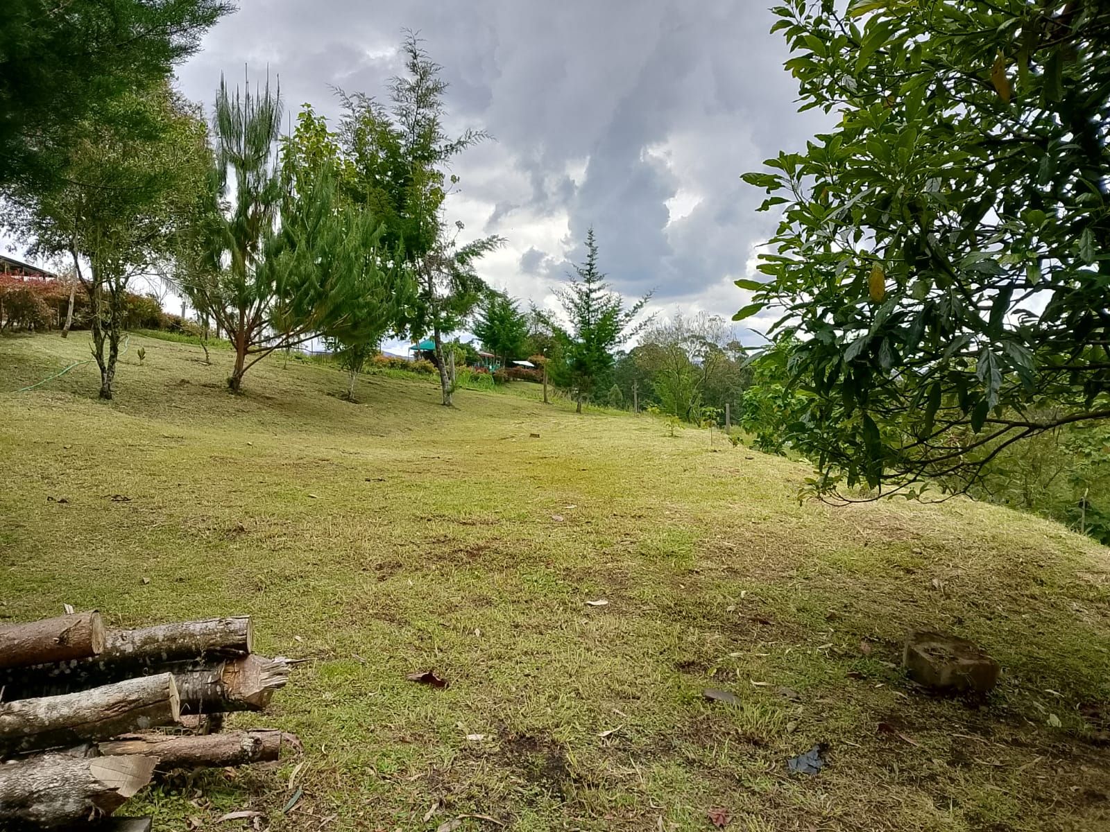 Lote en venta Antioquia Rionegro Rionegro 3350 m2 Habitaciones 0 Baños 0 Garajes 0 Precio $730000000