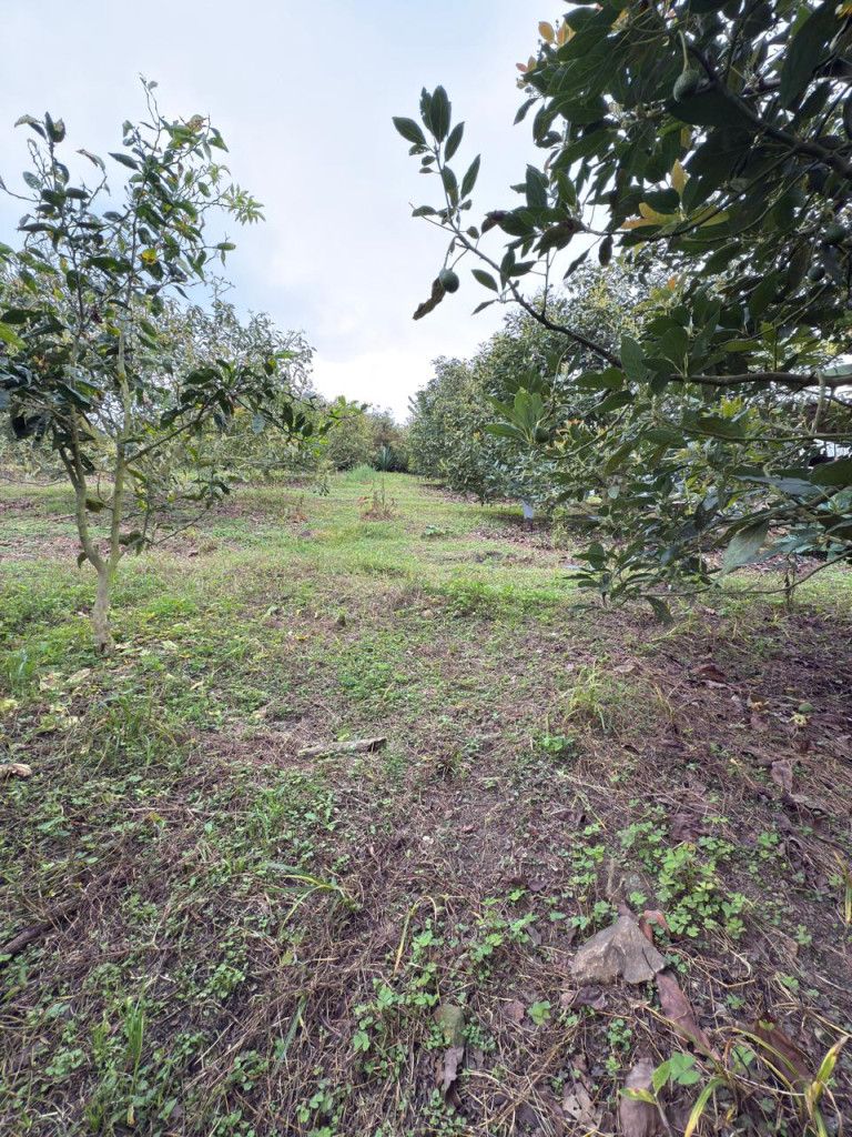 Casa en venta Cundinamarca Fusagasugá Fusagasuga 126 m2 Habitaciones 3 Baños 2 Garajes 1 Precio $400000000