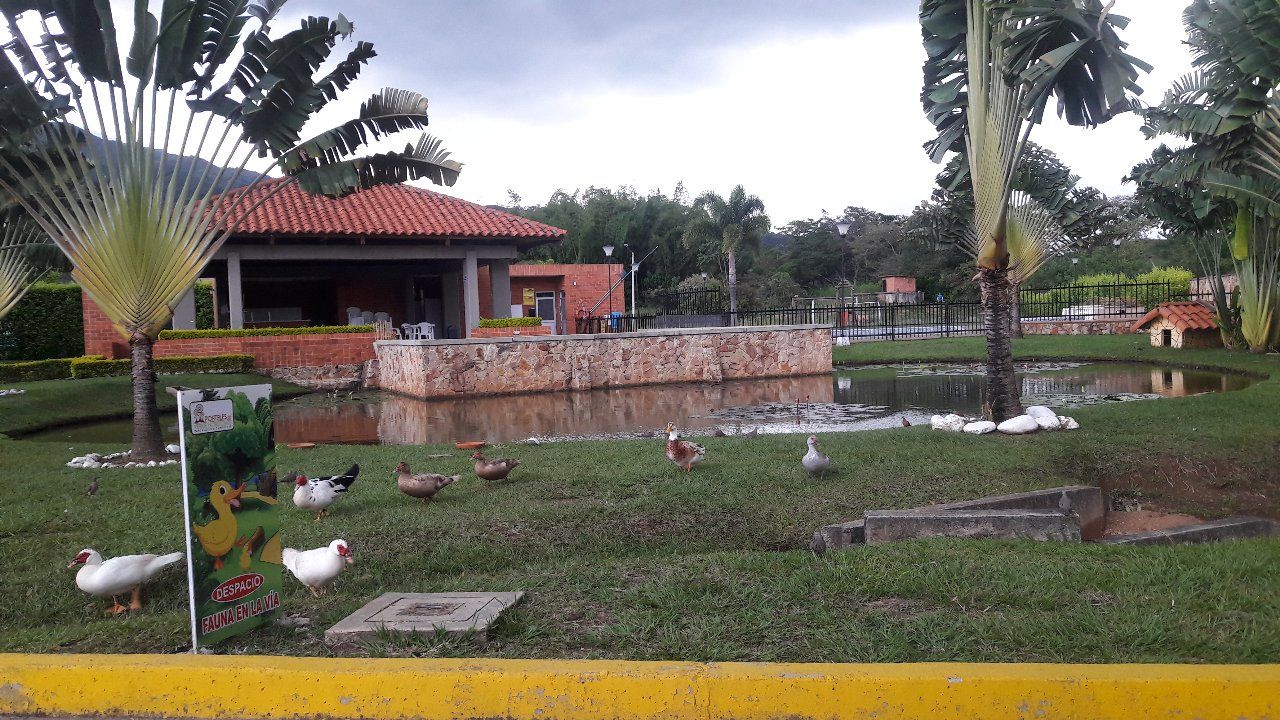 Lote en venta Valle Del Cauca Jamundí Ciudad Alfaguara 574 m2 Habitaciones 0 Baños 0 Garajes 0 Precio $270000000