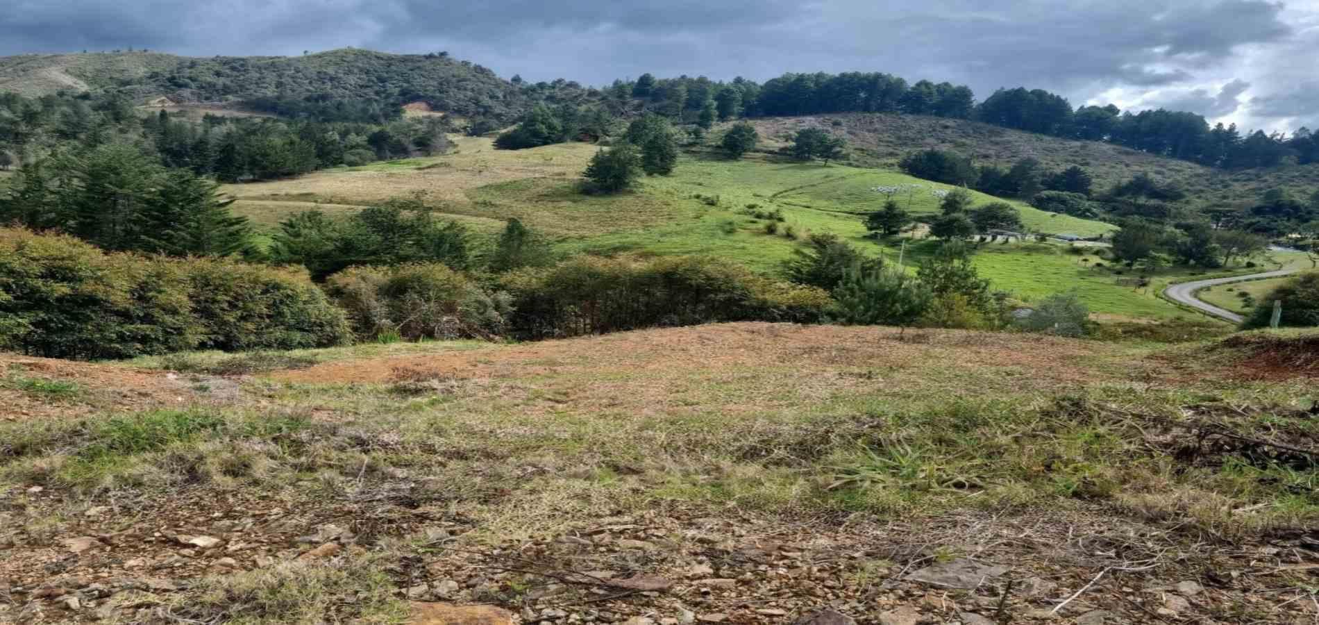 Lote en venta Antioquia El Retiro El Retiro 1020 m2 Habitaciones 0 Baños 0 Garajes 0 Precio $500000000