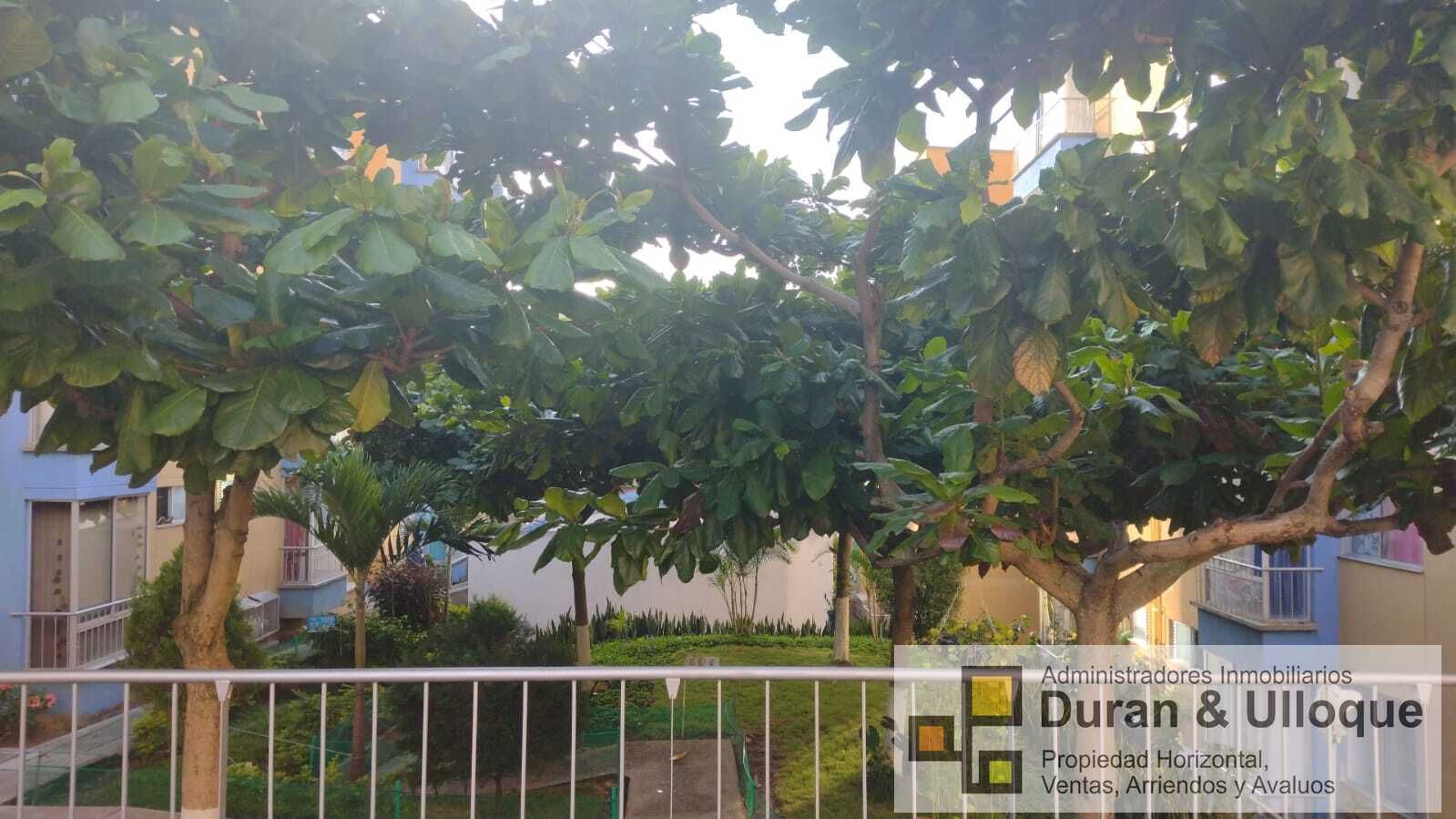 Oficina en arriendo Santander Piedecuesta Barroblanco 54 m2 Habitaciones 0 Baños 1 Garajes 0 Precio $567000