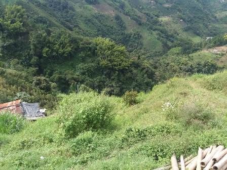 Casa en venta Caldas Manizales Manizales 150 m2 Habitaciones 3 Baños 1 Garajes 0 Precio $490000000