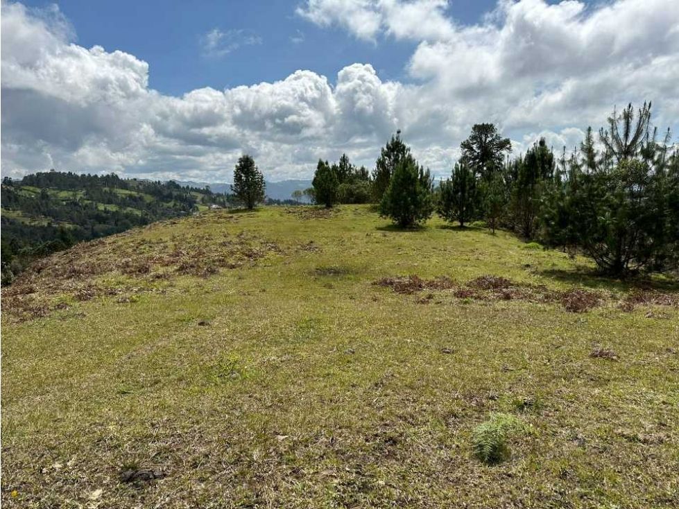 Lote en venta Antioquia Guarne Centro 5000 m2 Habitaciones 0 Baños 0 Garajes 0 Precio $750000000
