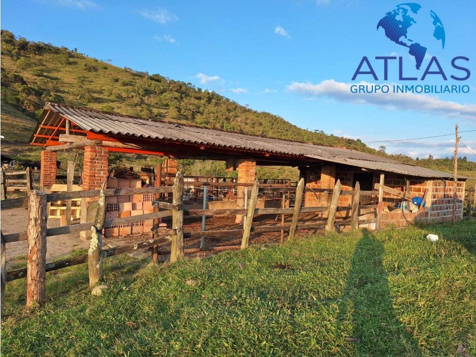 Finca en venta Santander Charalá Charalá 250 m2 Habitaciones 2 Baños 1 Garajes 1 Precio $980000000