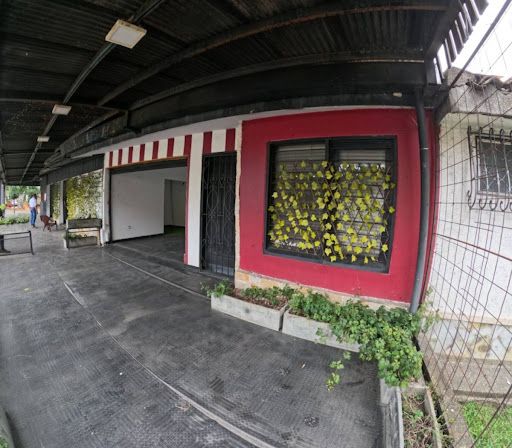 Local en arriendo Valle Del Cauca Palmira Las Mercedes 576 m2 Habitaciones 0 Baños 5 Garajes 5 Precio $10000000