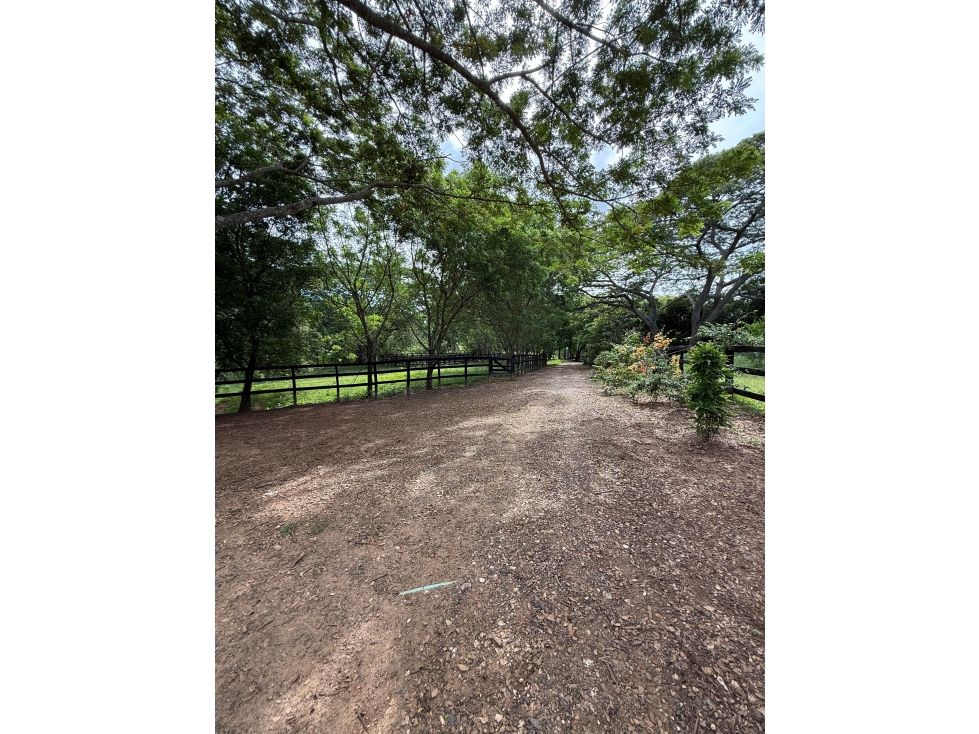 Finca en venta Córdoba Montería Montería 140000 m2 Habitaciones 4 Baños 4 Garajes 6 Precio $1110000000