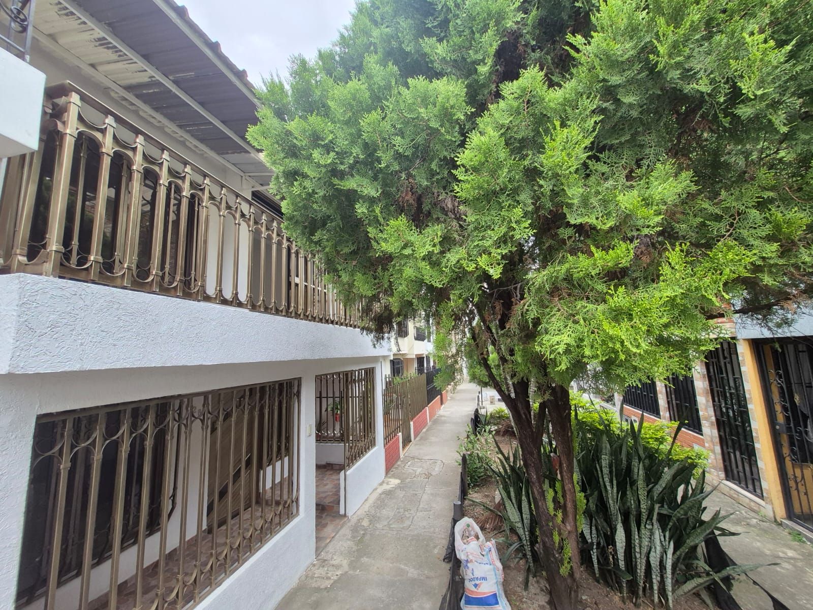 Casa en venta Valle Del Cauca Cali Quintas De Salomia 72 m2 Habitaciones 3 Baños 2 Garajes 0 Precio $297000000