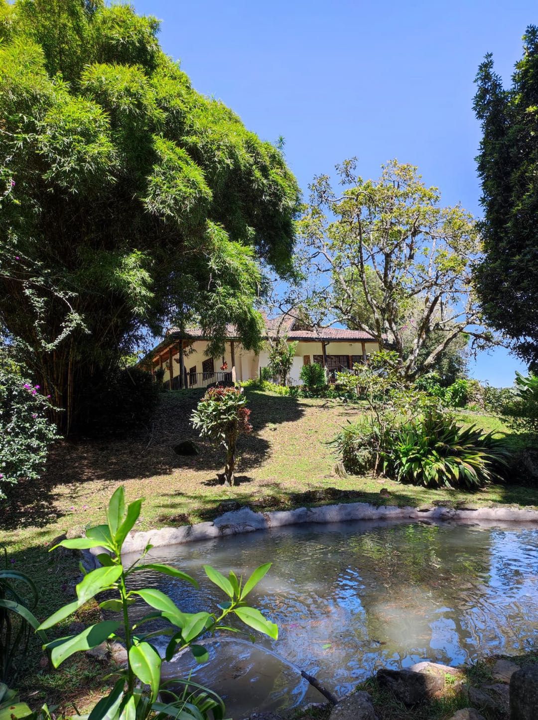 Finca en venta Cundinamarca San Francisco San Francisco 1130 m2 Habitaciones 6 Baños 6 Garajes 10 Precio $4500000000