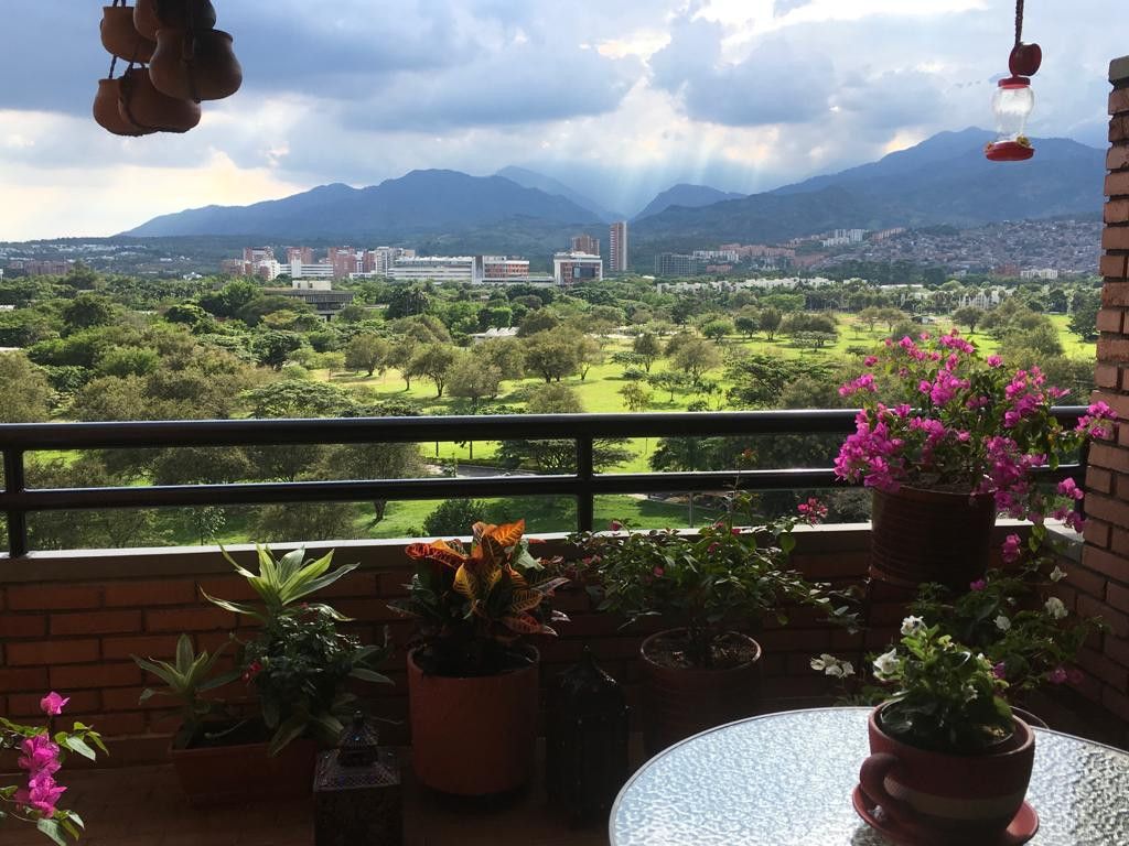 Apartamento en venta Valle Del Cauca Cali El Ingenio 117 m2 Habitaciones 3 Baños 4 Garajes 2 Precio $545000000