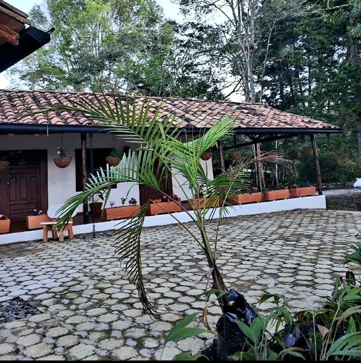 Finca en venta Antioquia El Carmen De Viboral El Centro 200 m2 Habitaciones 3 Baños 2 Garajes 0 Precio $1250000000
