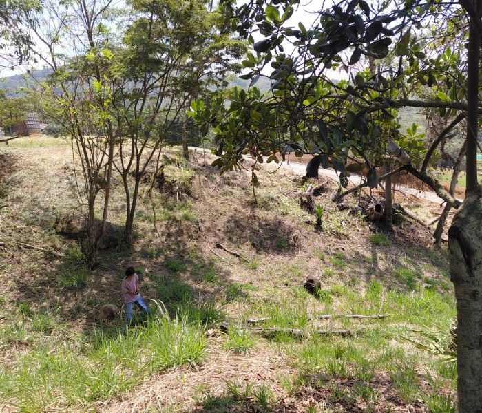 Lote en venta Valle Del Cauca Yumbo Yumbo 0 m2 Habitaciones 0 Baños 0 Garajes 0 Precio $575000000