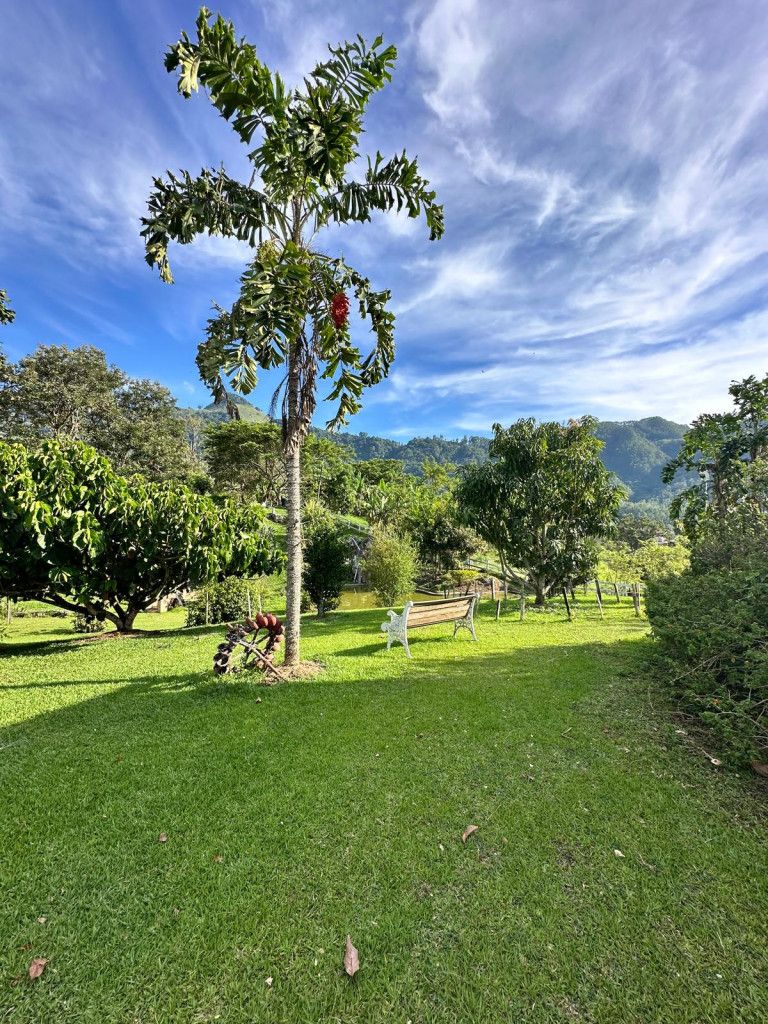 Finca en venta Antioquia Venecia Venecia 502 m2 Habitaciones 4 Baños 4 Garajes 0 Precio $3200000000