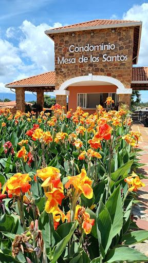 Lote en venta Santander Los Santos Los Santos 1250 m2 Habitaciones 0 Baños 0 Garajes 0 Precio $170000000