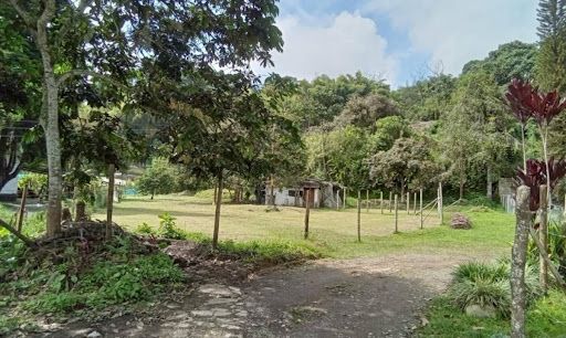 Lote en venta Risaralda Pereira Nn 1282 m2 Habitaciones 0 Baños 0 Garajes 0 Precio $2564000000